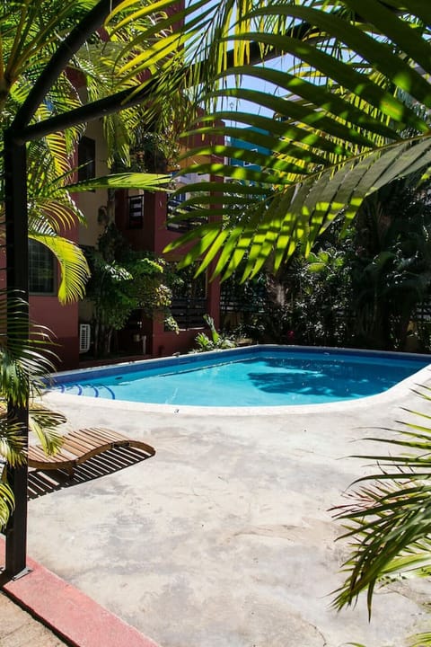 Refreshing outdoor pool tucked among lush tropical greenery for a peaceful swim or afternoon cool-off.