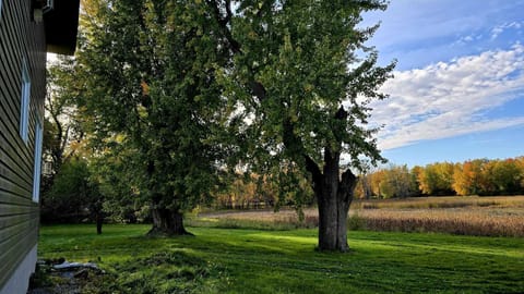 back yard and pond views