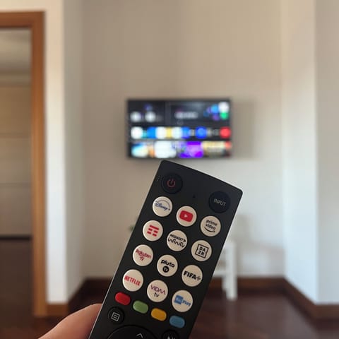 Television