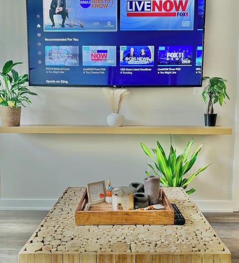 Living Room with TV