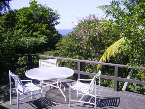 Large private deck/patio with ocean views and dining area.