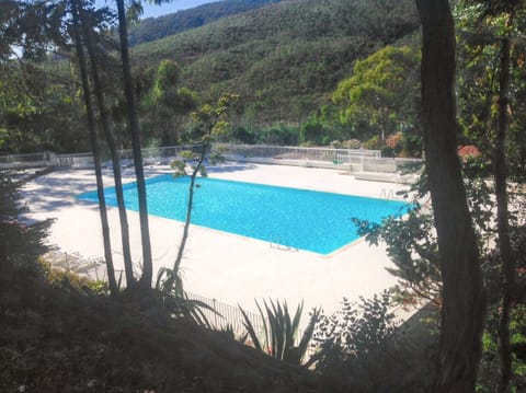 Swimming pool view