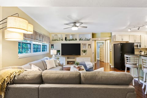 Experience the perfect blend of comfort and entertainment with a plush sofa and a 65" smart TV!