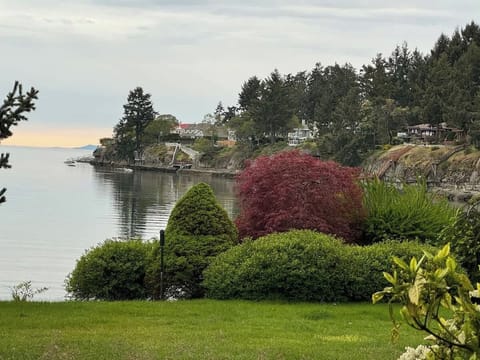 Ocean front view from deck, spectacular sunsets!