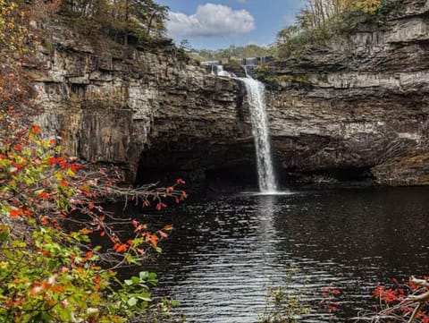 DeSoto Falls, a breathtaking 104-foot waterfall in DeSoto State Park, offers the perfect backdrop for hiking, picnicking, and capturing stunning photos of the cascading waters in a picturesque setting.