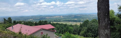 Some Folks Call us the “Red Roof Inn”