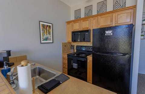 The kitchen has a sink, range, dishwasher, microwave, and a full size fridge.