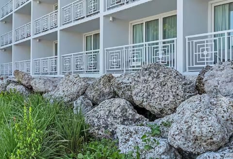 View of the units from the outside.