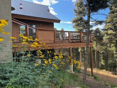 Back20deck20w20flowers201280