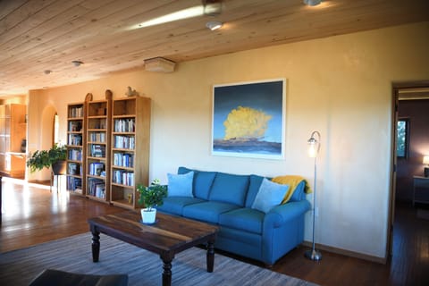 Living area with library, art, and comfortable couch
