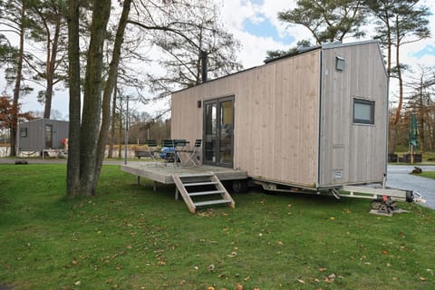 Main view