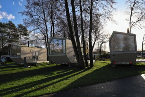 Main view