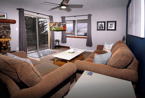 Living room, pull out couch, new TV
