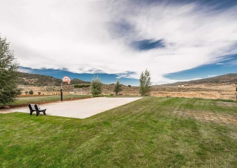 Basketball Court & Fields