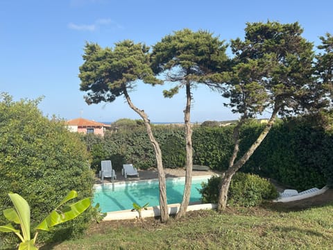 Swimming pool/garden