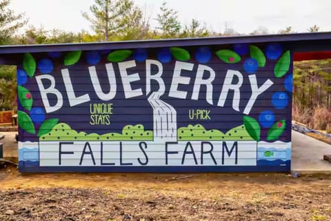 A colorful Blueberry Falls Farm mural welcomes you at the entry of the farm.