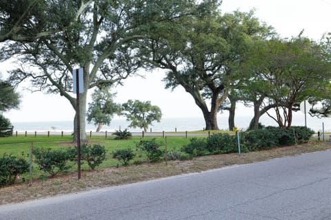 Towering oaks frame the roadside as calm Gulf waters stretch into the distance beyond vibrant greenery.