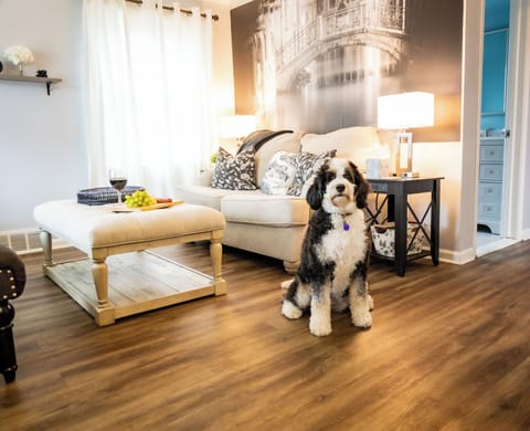 This stylish living room features a cozy sectional, elegant décor, and warm wood floors. Natural light fills the space, creating a bright and inviting atmosphere—perfect for relaxing with a glass of wine or gathering with friends.Living Room
