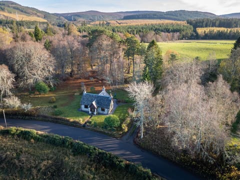Building, Plant, Furniture, Table, Chair, Window, Shade, Tree, Orange, Outdoor Furniture