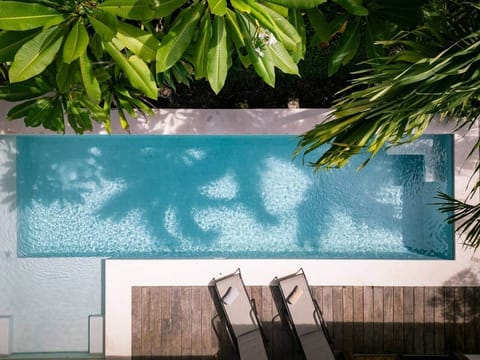 our huge pool is all you need to relax during tropical days.