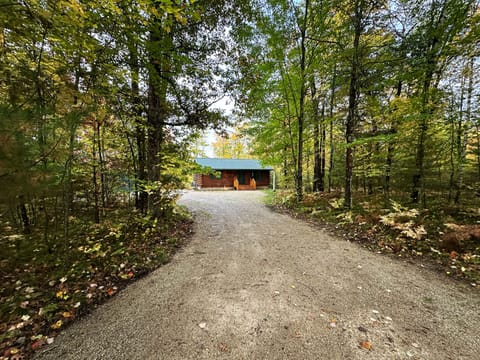 The road to the cabin.