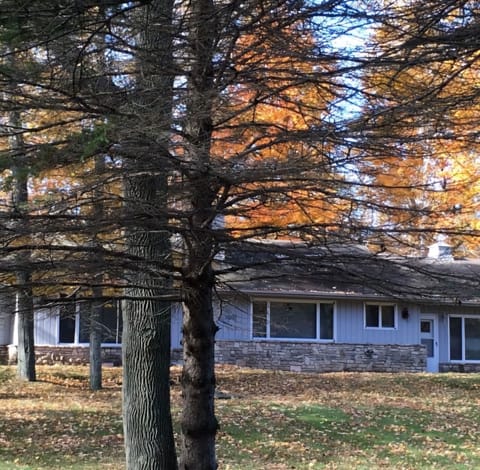 Tranquil & Serene 2.5 Acre Wooded Vacation Rental