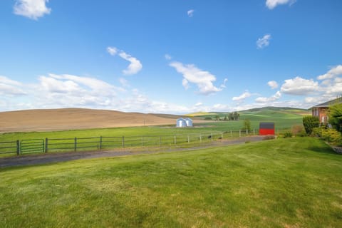 View From the home.