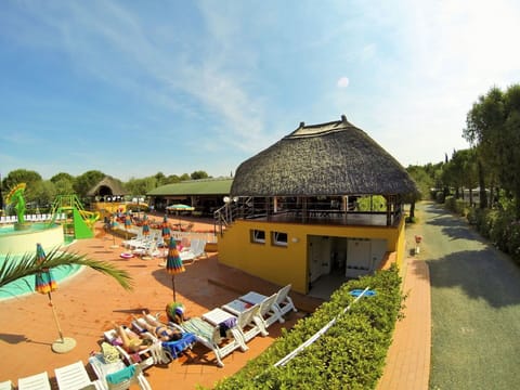Sky, Cloud, Plant, Shade, Tree, Building, Outdoor Furniture, Swimming Pool, Landscape, Leisure