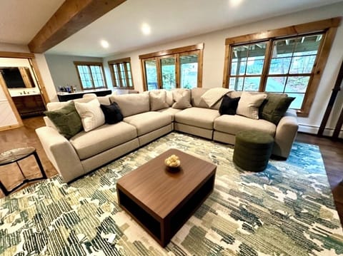 Basement Living Room