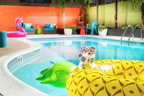 Dive into sunlit pool fun with playful floats and loungers.