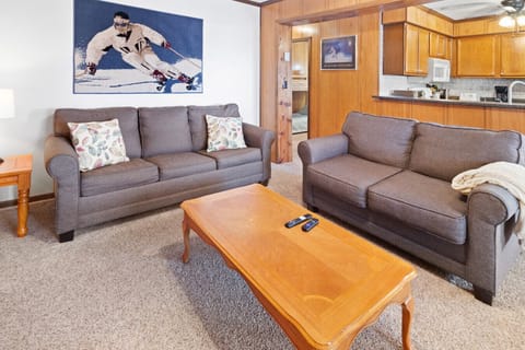 Cozy living room with gas fireplace