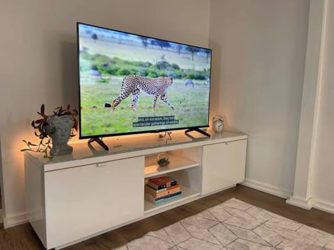 Television