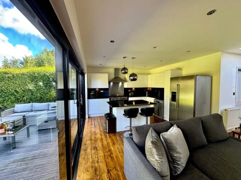 Open living space connecting kitchen living room and outside garden