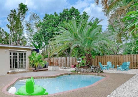 Pool and Backyard Area