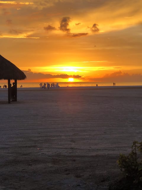 Paradise !!