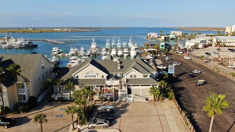 Welcome to Sailfish & Dolphin Buyout, located right on the marina!