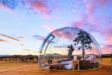 Your own personal stargazing dome overlooking the beautiful Joshua Tree night sky.