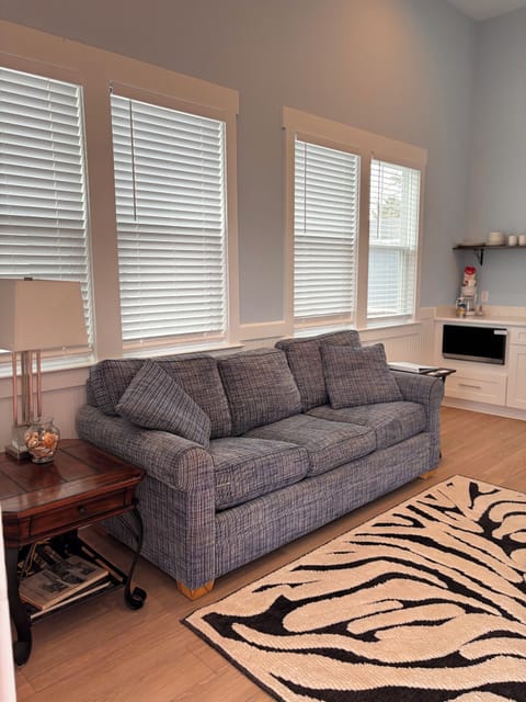 Living room/Kitchenette