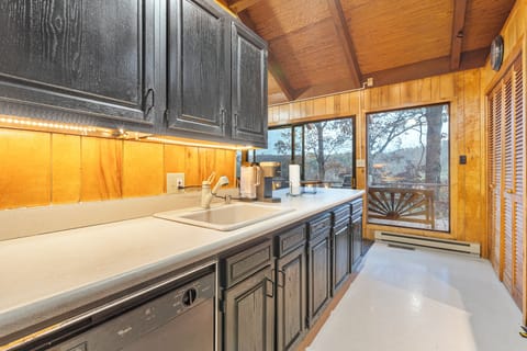 Kitchen. Sink and dishwasher.