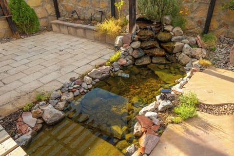 Pond with koi and goldfish. Please do not feed fish, they eat algae in pond