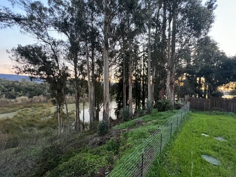 Sunrise from back deck