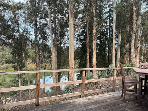 Back deck view of lake