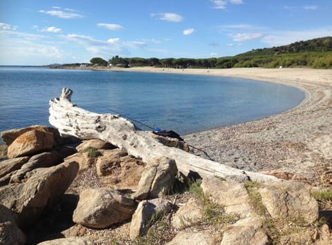 Autumn, Building Exterior, Outdoor, Spring, Summer