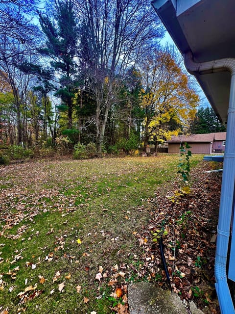 View of the backyard.  The backyard is very wooded with a grassy portion between the house and the woods for relaxing under the stars.  