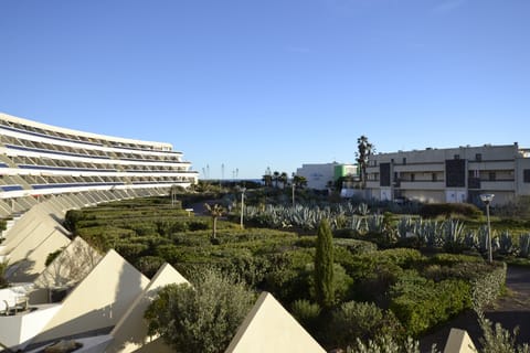 Vue (1)