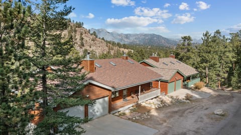 Tree, Fir, Chair, Furniture, Architecture