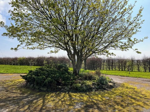 Outdoor area | Crumquhill Bungalow, Ringford, near Castle Douglas
