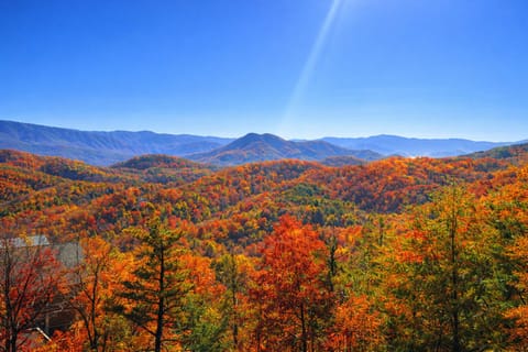 Panoramic mountain views framed by stunning peak-season fall colors