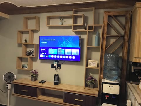 Television