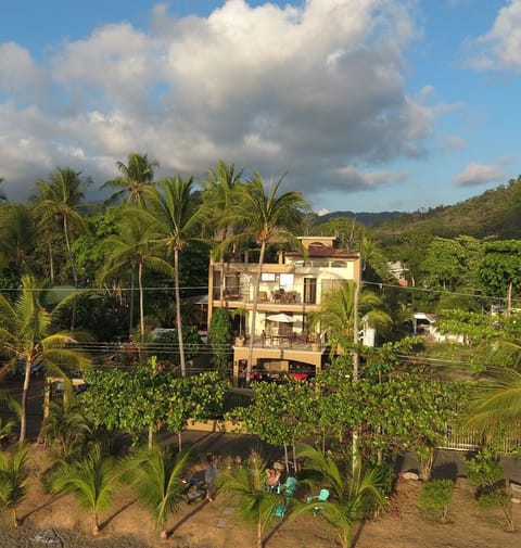 Tucked in the palm trees